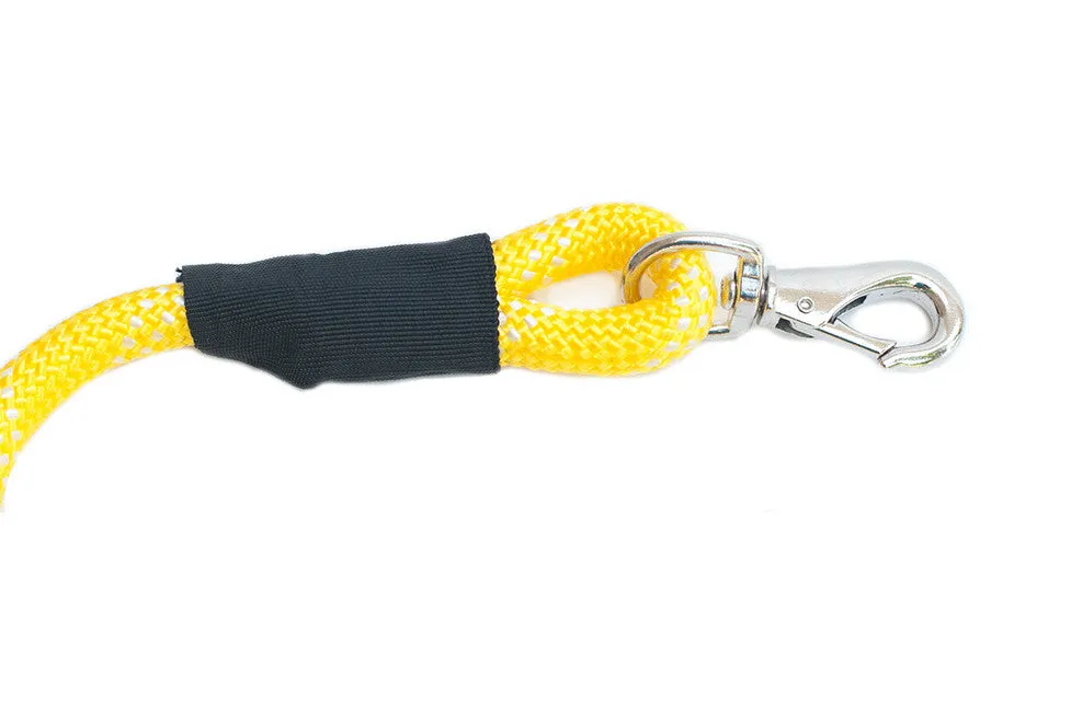 Climbers Original Leash - Yellow