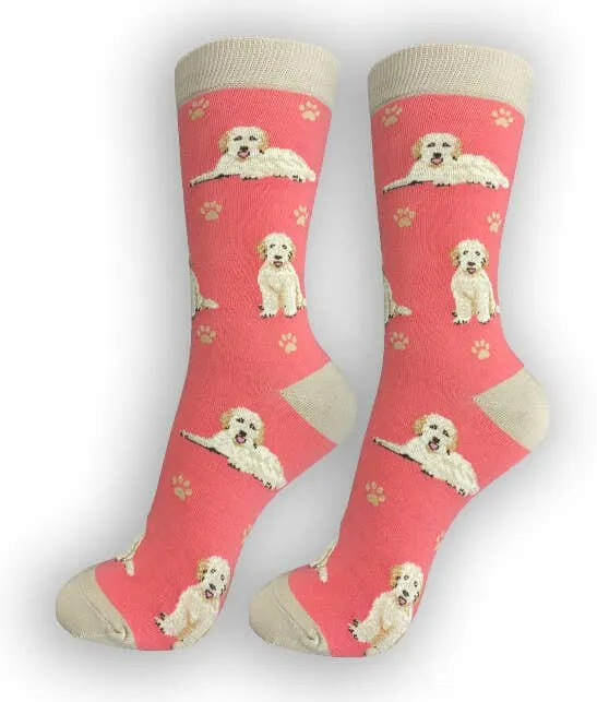 Goldendoodle, Peach Socks-Full Body