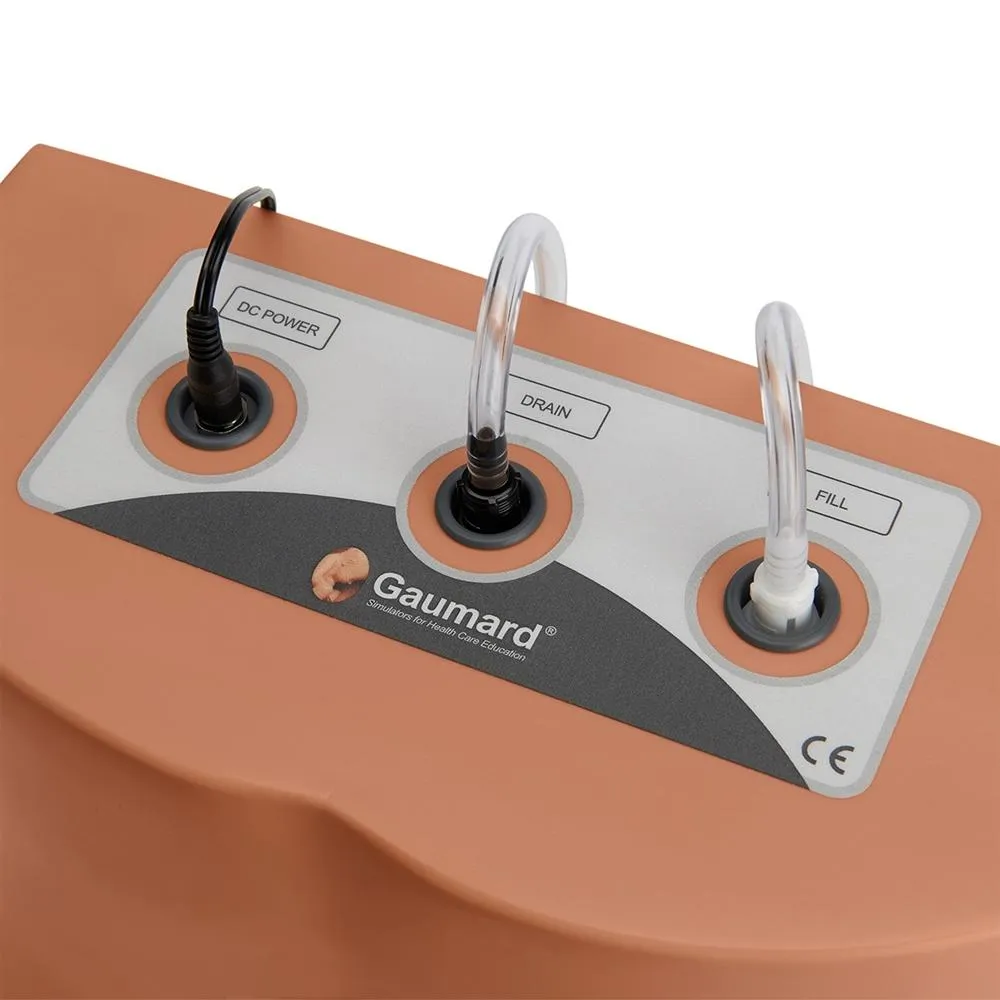 Lumbar Puncture Trainer, Medium