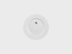 Plate | Lotos | Dandelion | 16 cm