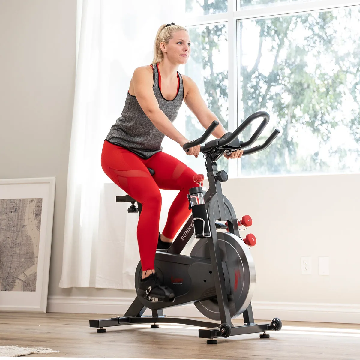 Pro II Magnetic Indoor Sunny Bike